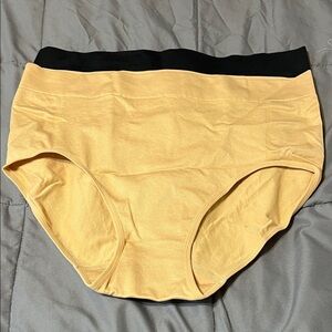 AnyBody Soft 2 pack comfort support panty